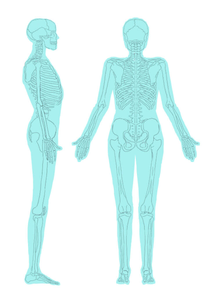 自然体美人タイプの骨格特徴　側面・背面《東京・新宿》hanairo | パーソナルカラー・骨格診断・メイクレッスン　